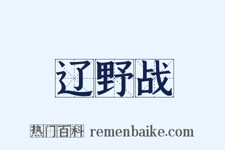 辽野战是什么意思的图片